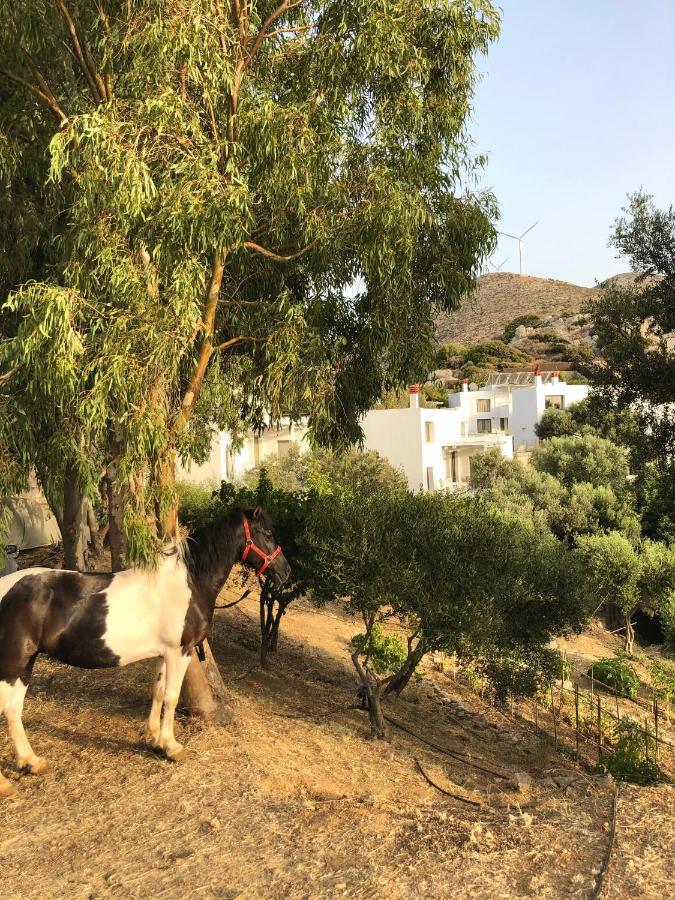 Mourtzanakis Residence - Traditional Eco Hotel In Akhládha Dış mekan fotoğraf